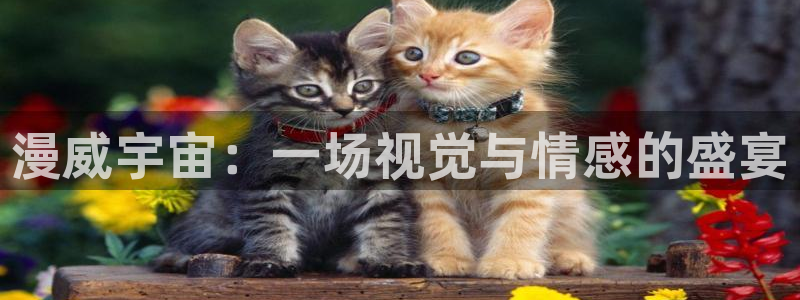 duofun动漫官网：漫威宇宙：一场视觉与情感的盛宴