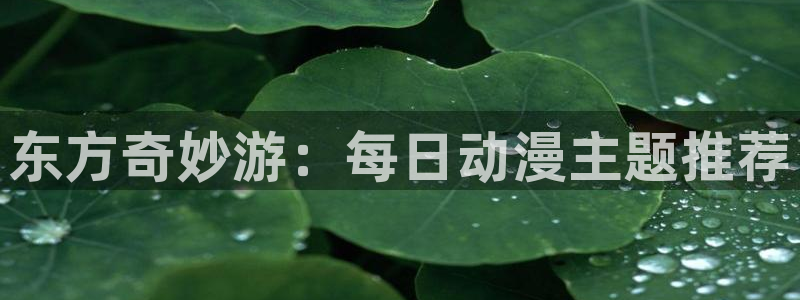 omofun动漫旧版本：东方奇妙游：每日动漫主题推荐