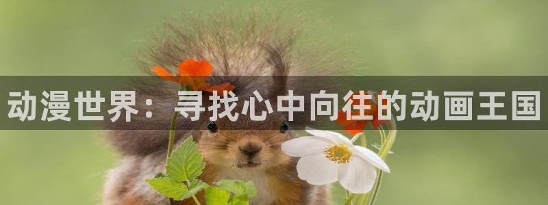 omofun动漫官网入口安卓：动漫世界：寻找心中向往的动画王国