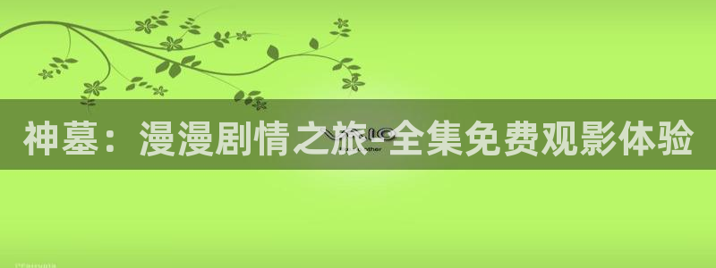 omofun动漫网在线观看鬼灭之刃：神墓：漫漫剧情之旅-全集免费观影体验